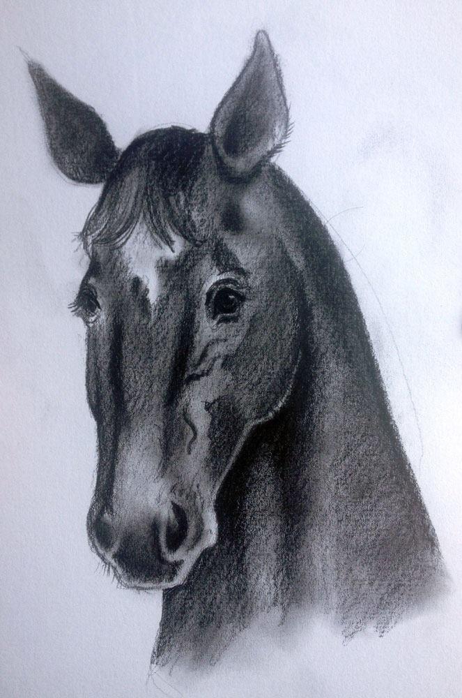 caballo