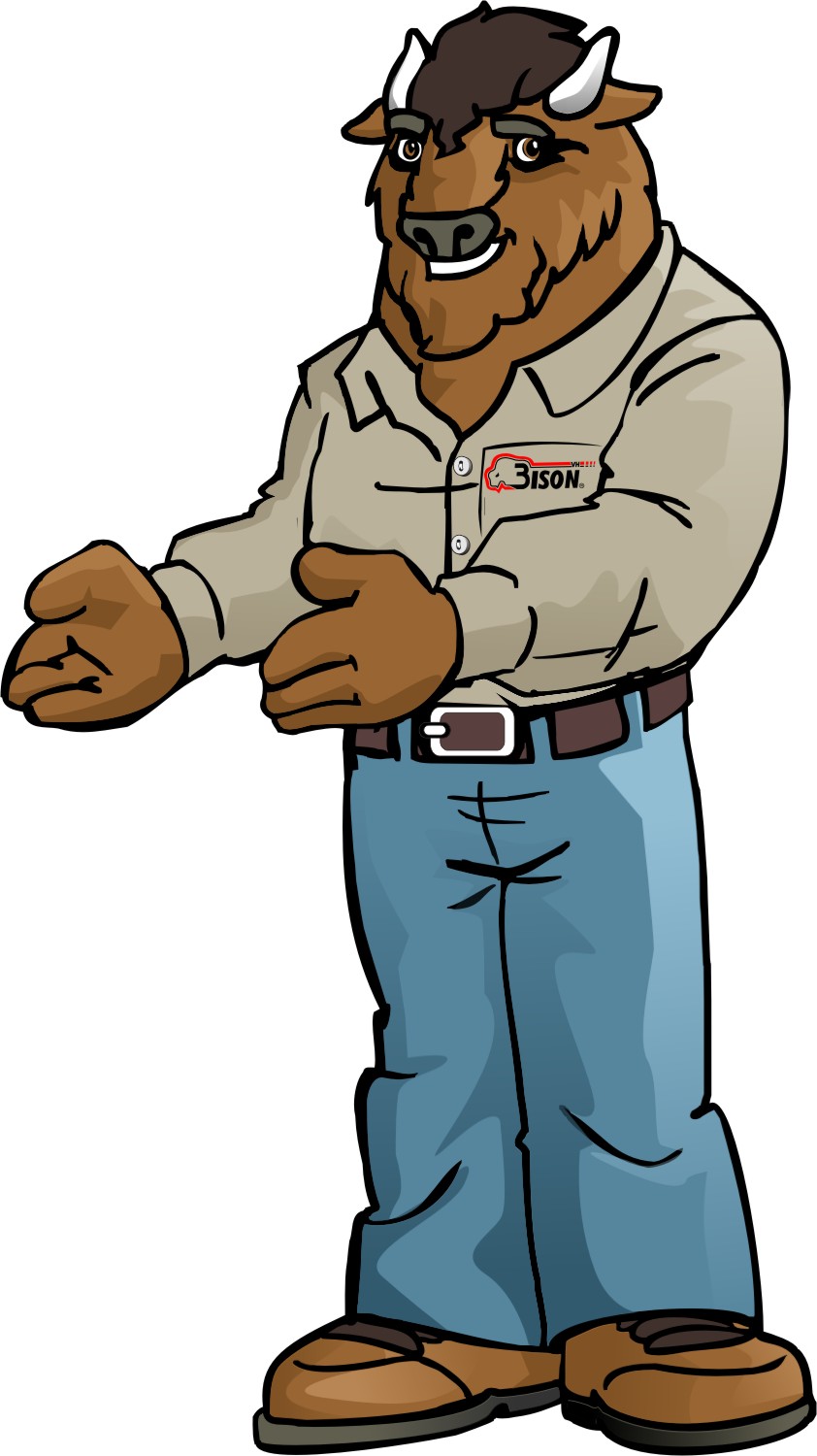 Bison